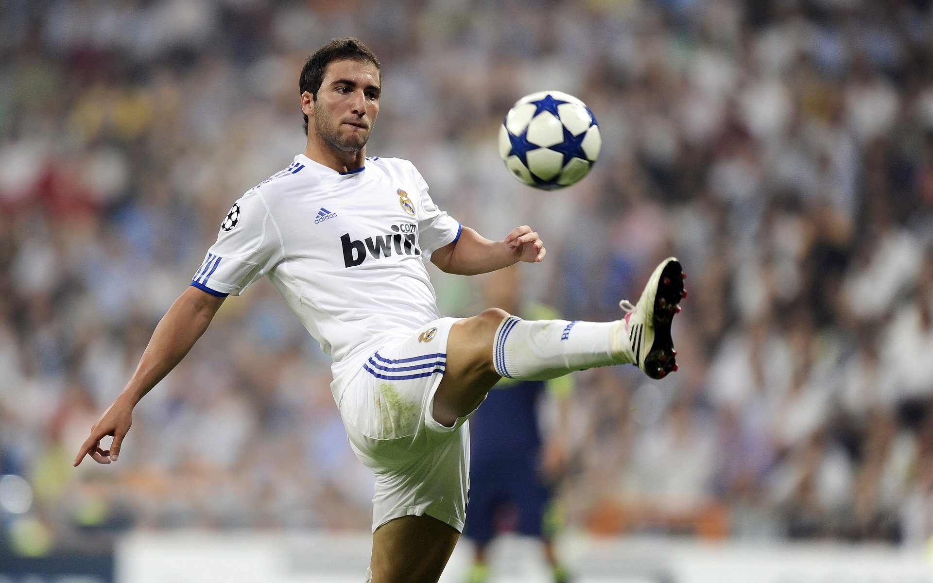 中超射手榜争夺进入白热化阶段,中超射手榜2019中超射手