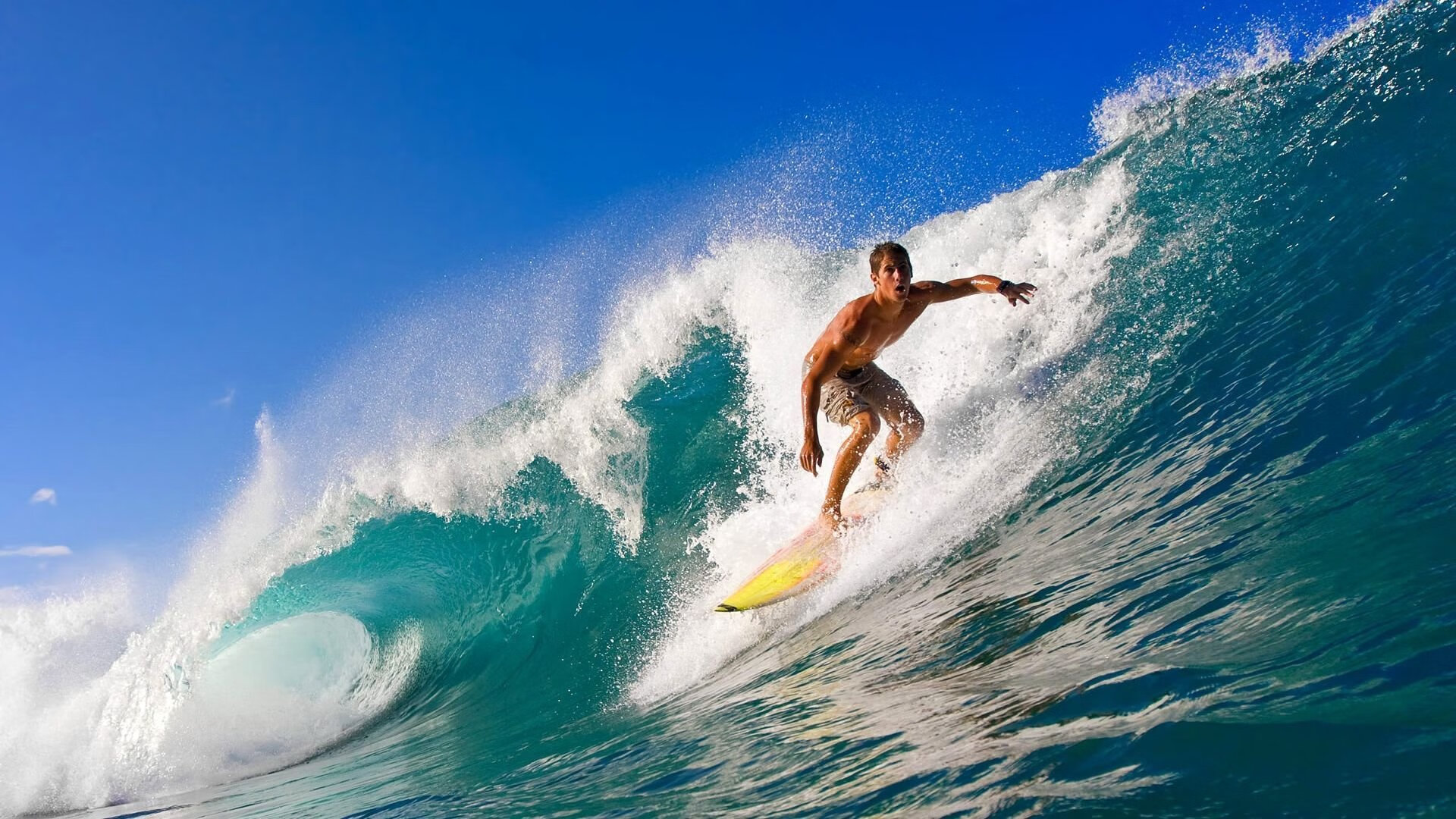 中超末轮观赛指南!海港三种方式可夺冠,申花翻盘仅剩一条路,中超申花海港直播